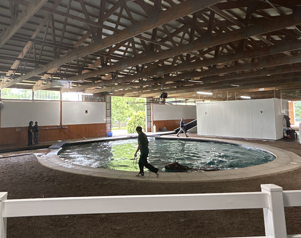 Expert Commercial Pool Management for Central Kentucky Businesses